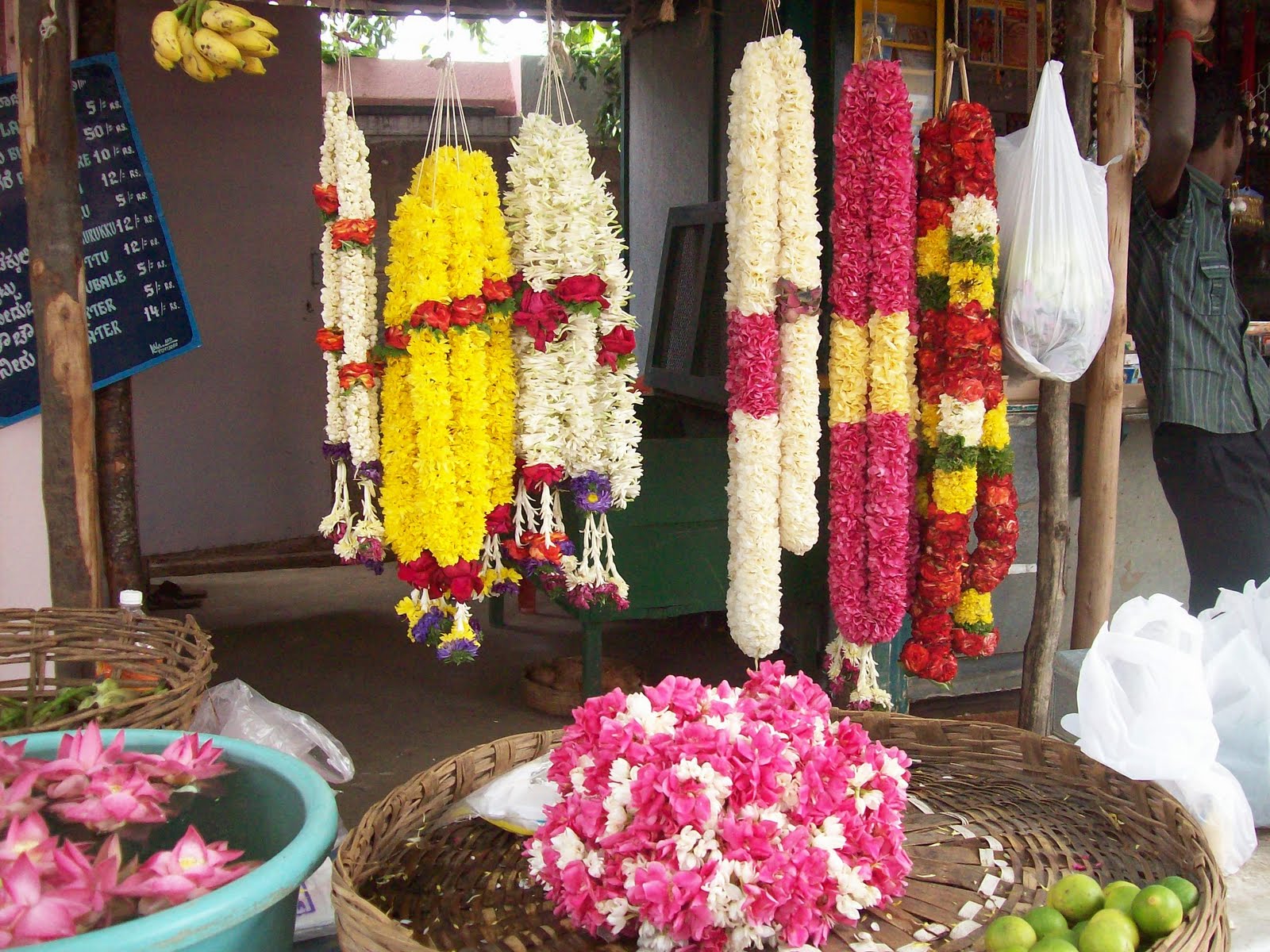 gardentropics That's My Life Flower Sellers