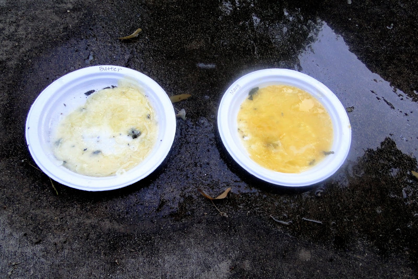 Pierce Whole Nutrition Butter vs. Margarine The Results!