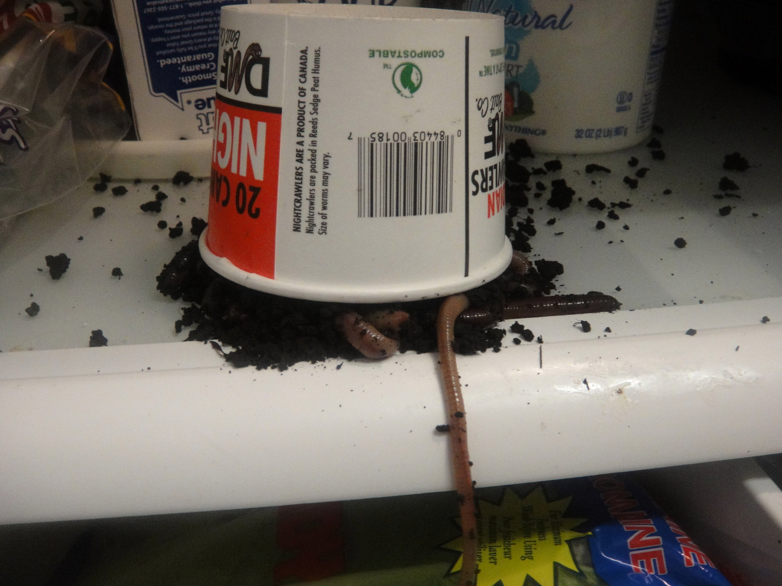 Moments to Live By I Keep Worms in My Fridge