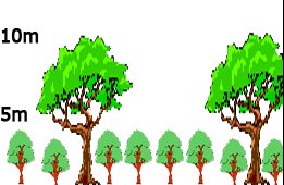 Stratification of Horton Plains / Montane Rain Forest