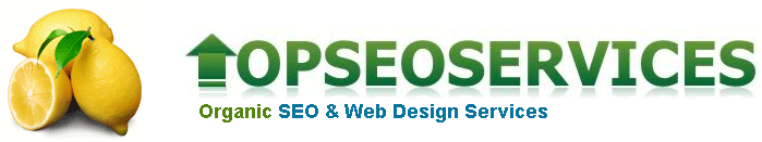 Cheap SEO and website design services UK