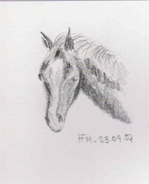 [Helena+Monteiro-cabecacavalo.jpg]