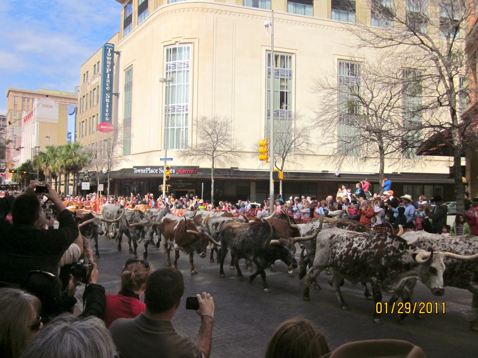 The Road West LETS GET READY TO RODEO, SAN ANTONIO!