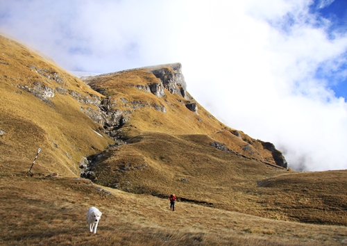 Cu bocancii la plimbare