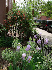 The front patio in bloom