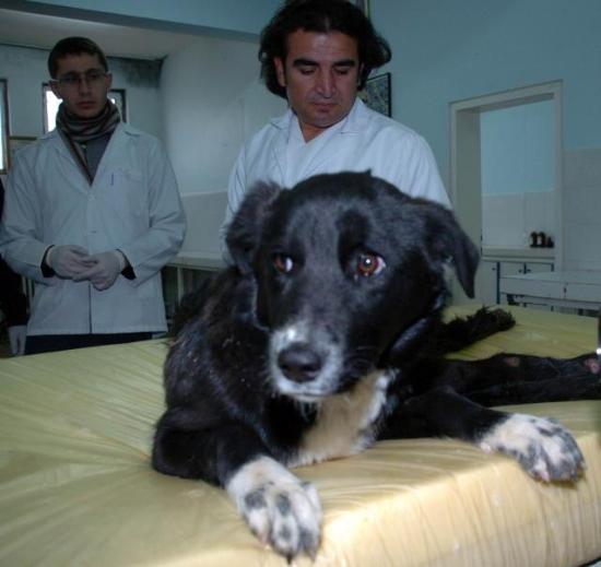 [Jonah+get+well.jpg]