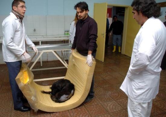 [Jonah+latest+3.jpg]