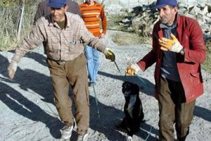 [jonah+2+tied+up.jpg]