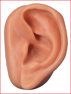 OREJA ANIMADA - Imagui
