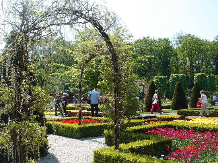 Сад-парк тюльпанов Кёкенхоф
