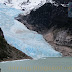 Chile 2010. Glaciar Serrano.