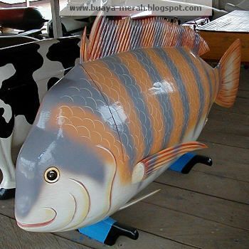 image_7.jpg