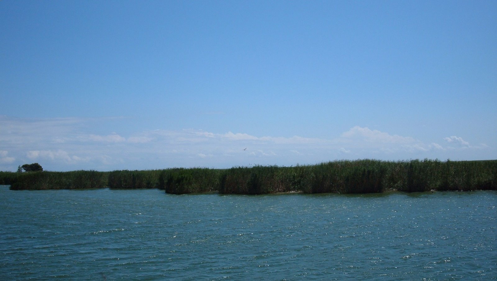 [excursión+delta+del+ebro+(4).JPG]