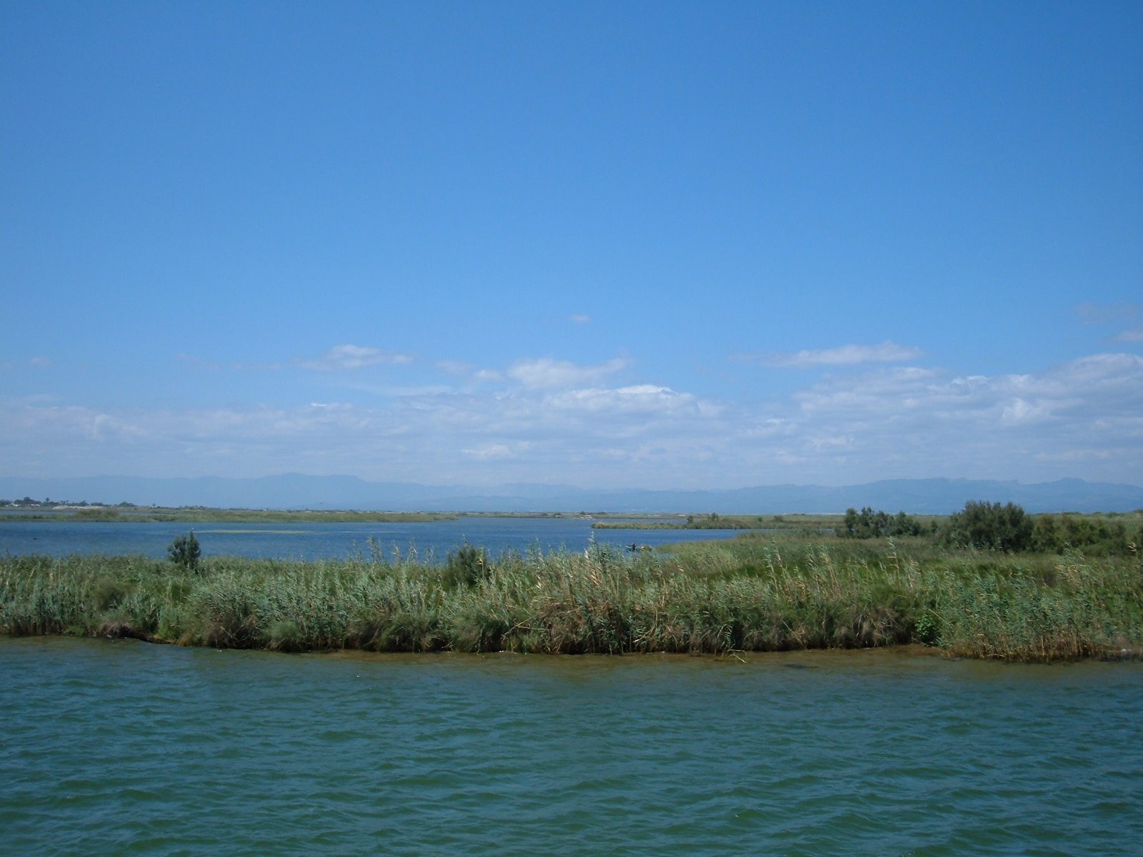 [excursión+delta+del+ebro.JPG]