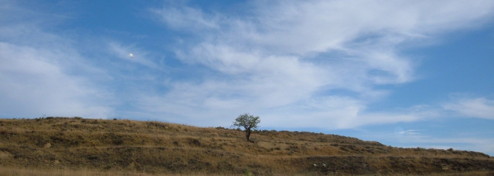 [instalaciones+de+martincho+(1).JPG]