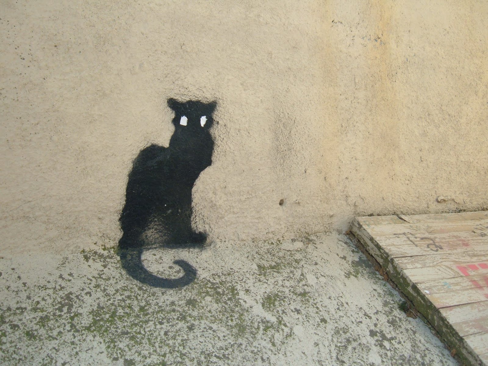 [gato_en_barcelona.JPG]