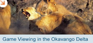 Botswana Okavango Delta Game Viewing