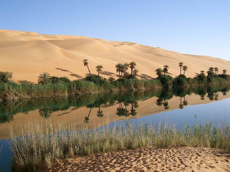 [800px-Oasis_in_Lybia.JPG]