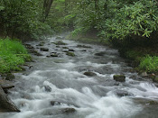 Mountain Stream