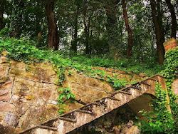 Stone Stairs to the Hillside