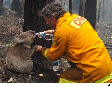 [0210_kuala_photo.jpg]