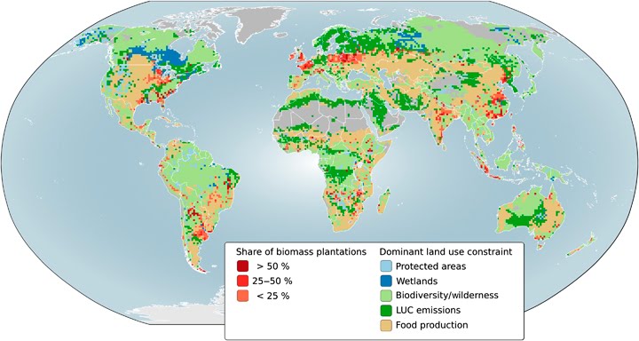Grass is Cleaner: Re: How sustainable are biofuel crops?