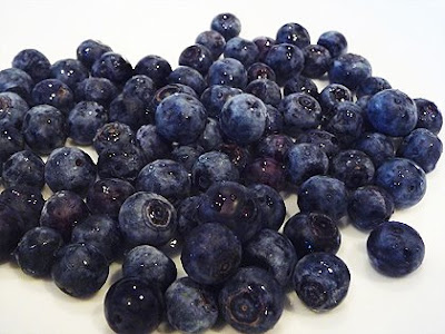 lemon blueberry panna cotta
