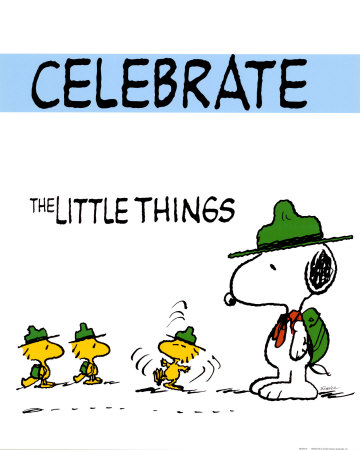 [PEA0321~Peanuts-Celebrate-the-Little-Things-Posters[1].jpg]