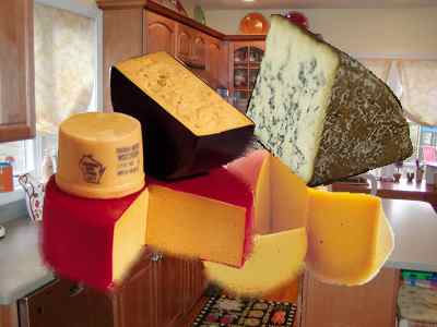 [cheeses[1].jpg]