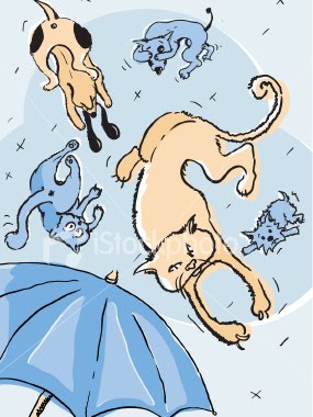 [ist2_4005535-its-raining-cats-and-dogs.jpg]