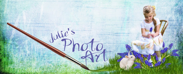 Julie's Photo Art