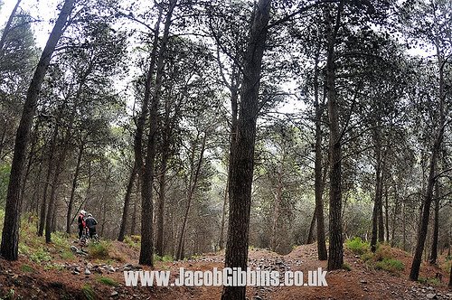 [3392666513_a9210e7de8.jpg]