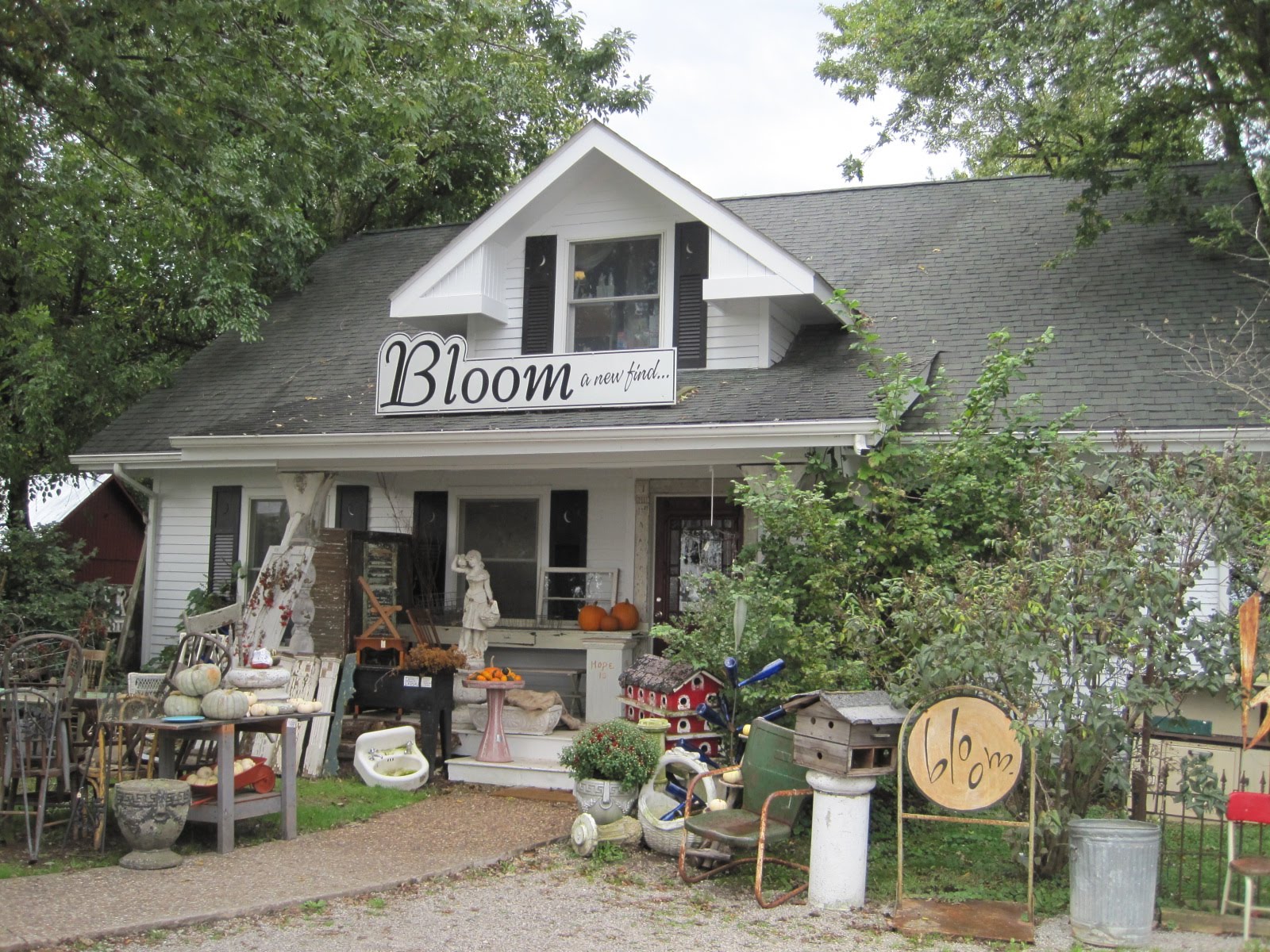 Rita's Sew Fun Shopping in Kalona, Iowa