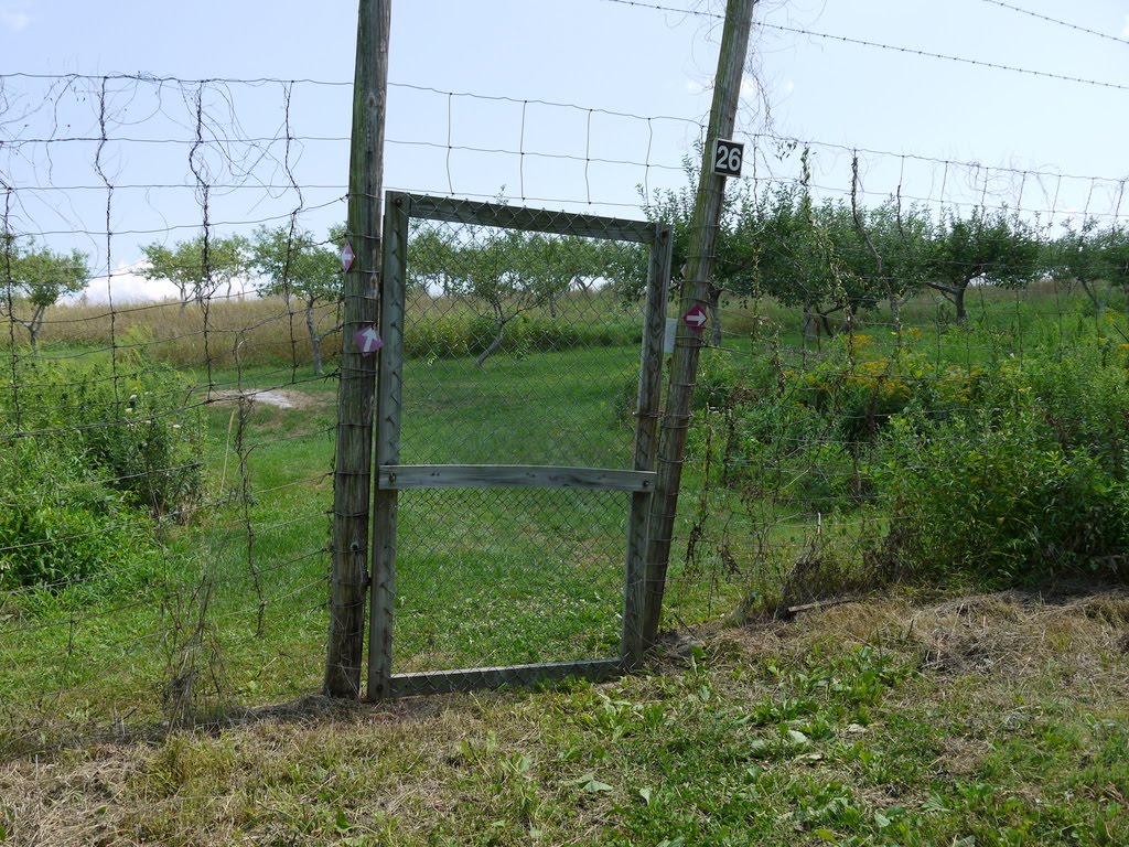 In the Field Trout Brook Valley, Easton