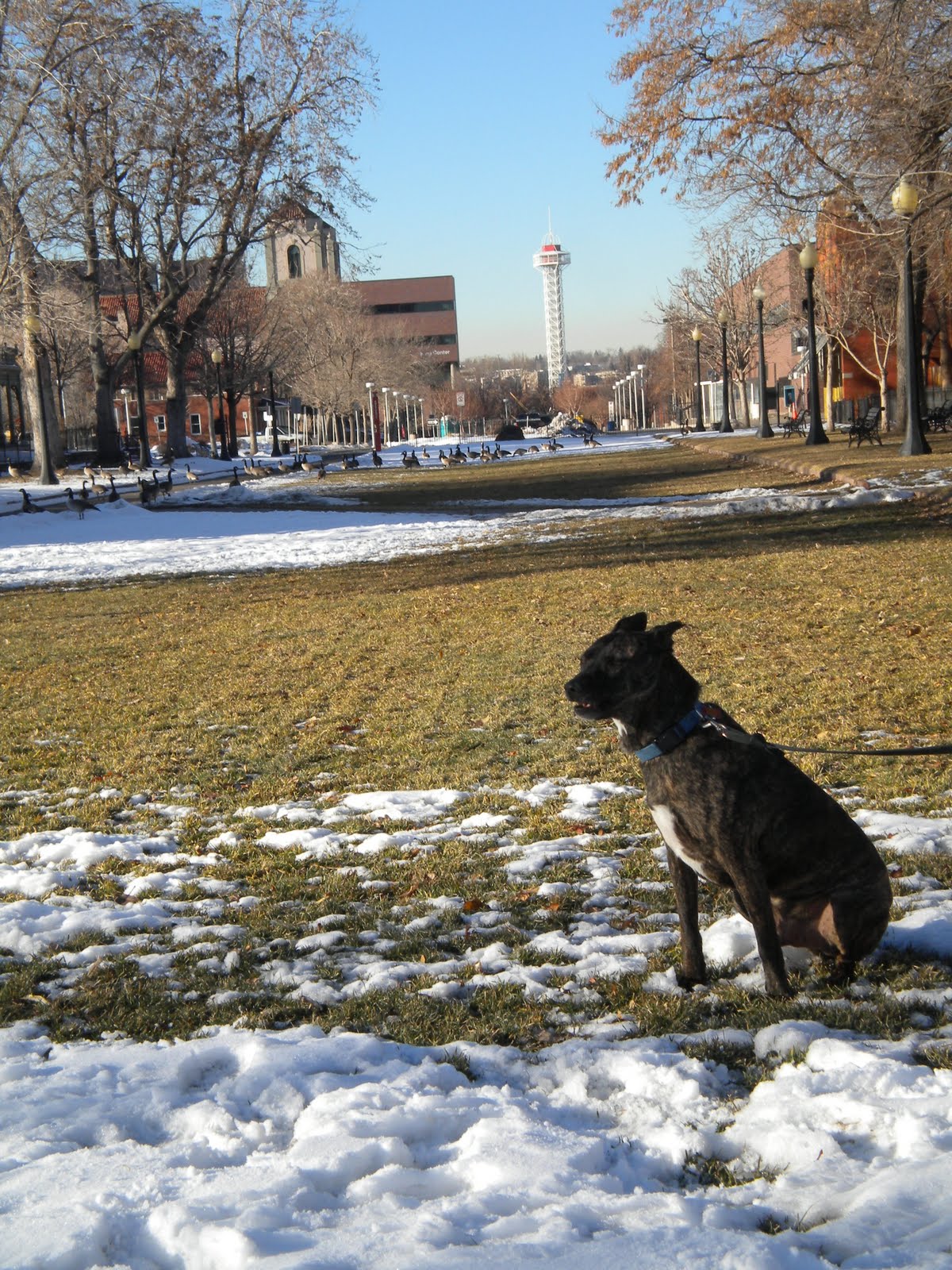 [parks+002.JPG]