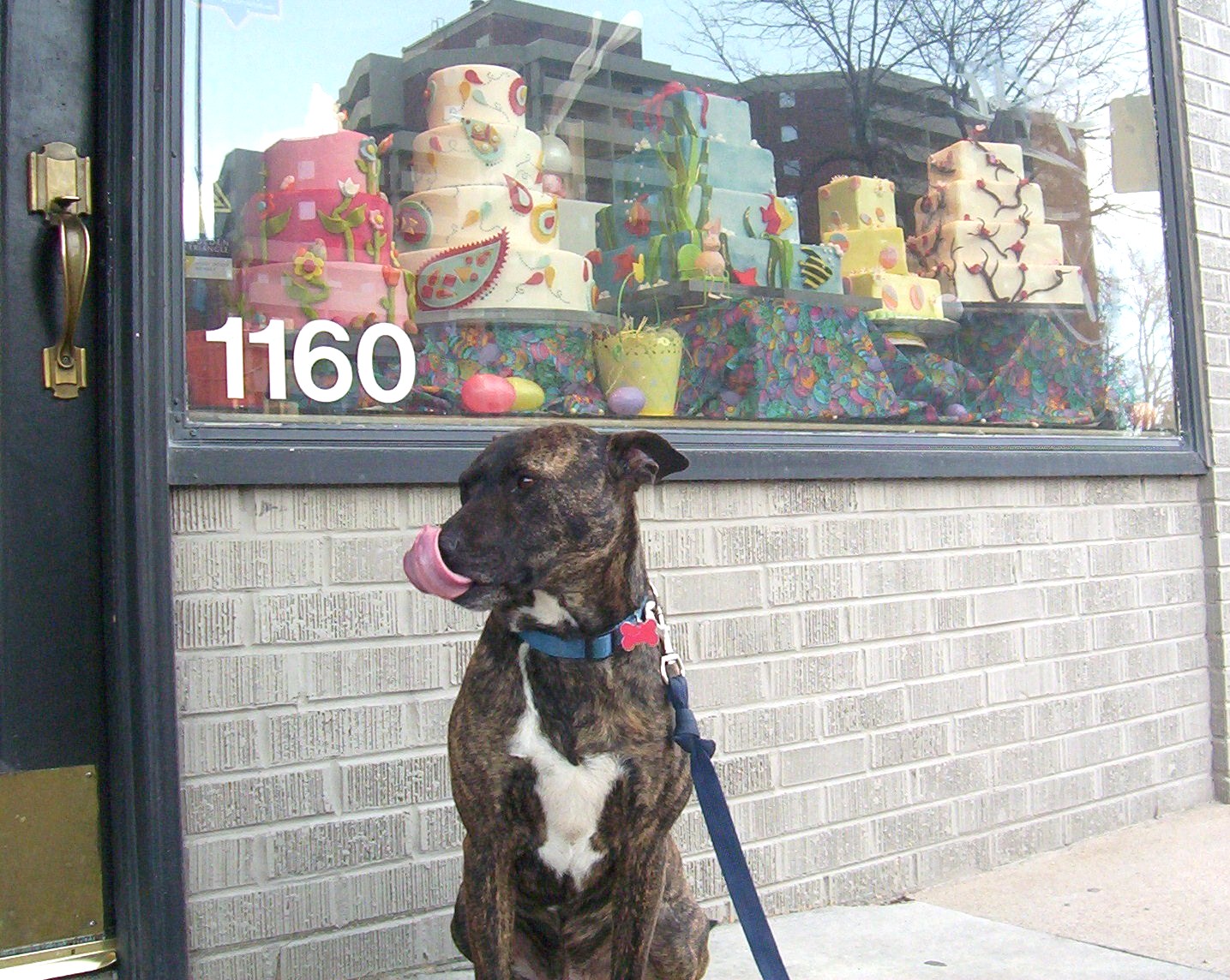 [bakery+010.JPG]