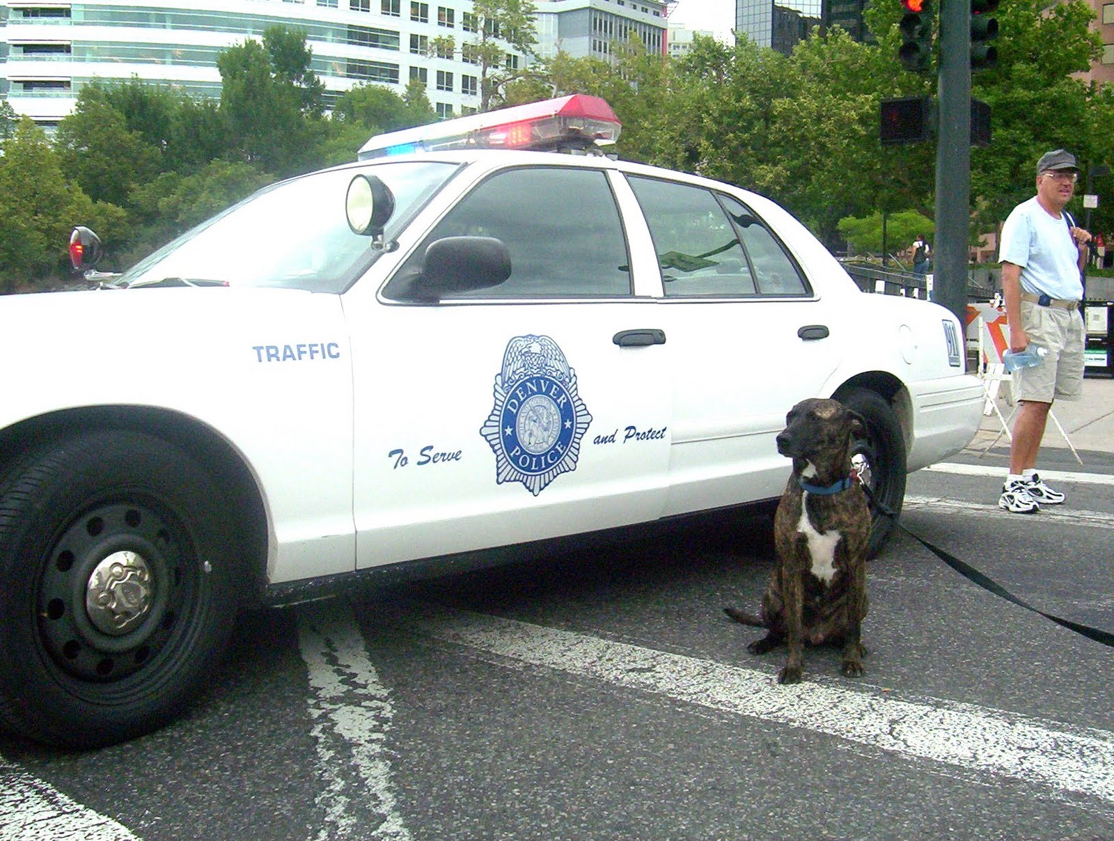 [police+car.JPG]