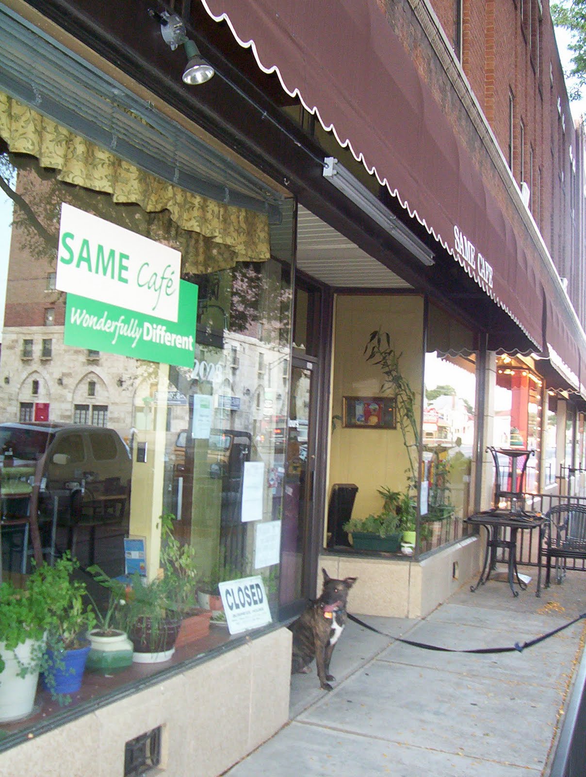 [same+cafe.JPG]