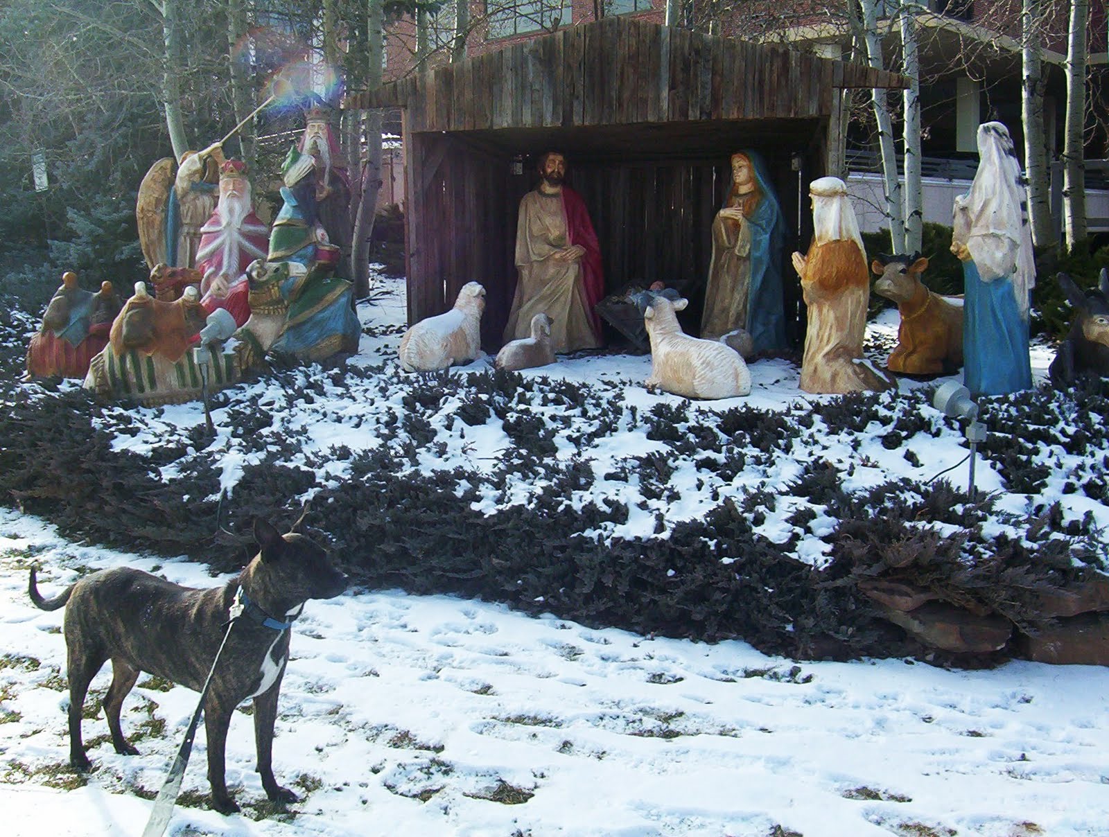 [nativity.JPG]