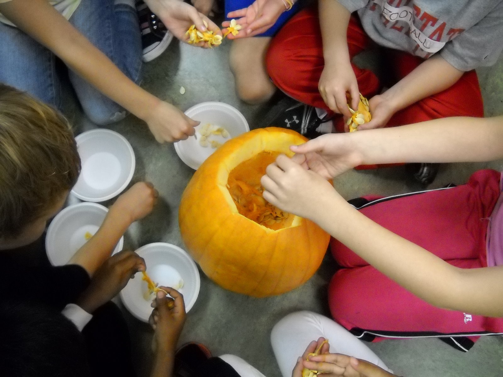 Our 2nd Grade Journey October 2010