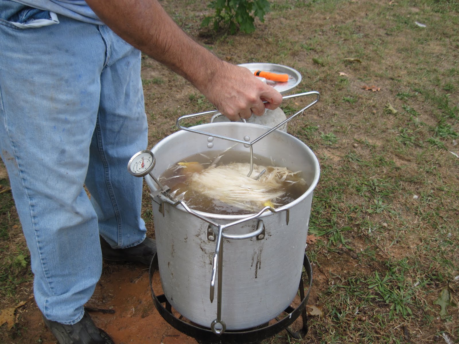 Meat Chickens Cut, Scald, Pluck, Clean The Twentyeight Eleven