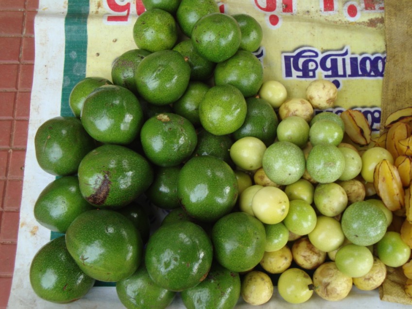 A Journey called Life... A trip to Yelagiri Hills