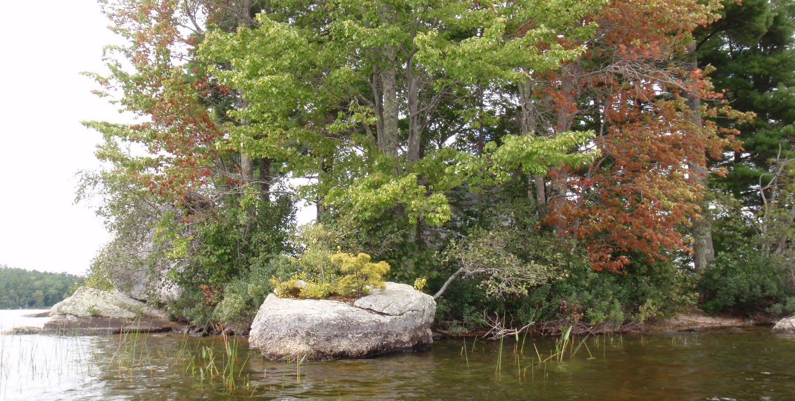 PenobscotPaddles Alamoosook Lake