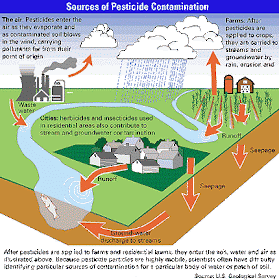 pesticides diseases defend harmful weeds struggled