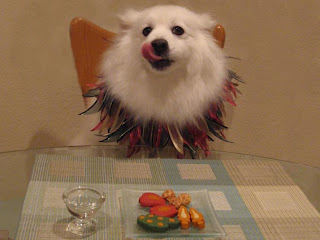 American Eskimo