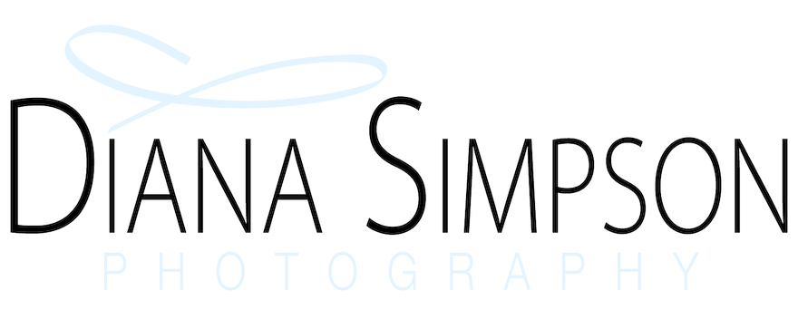Diana Simpson Chattanooga's Newborn & Baby Photographer