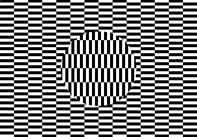 Optical%2BIllusions%2B4.gif