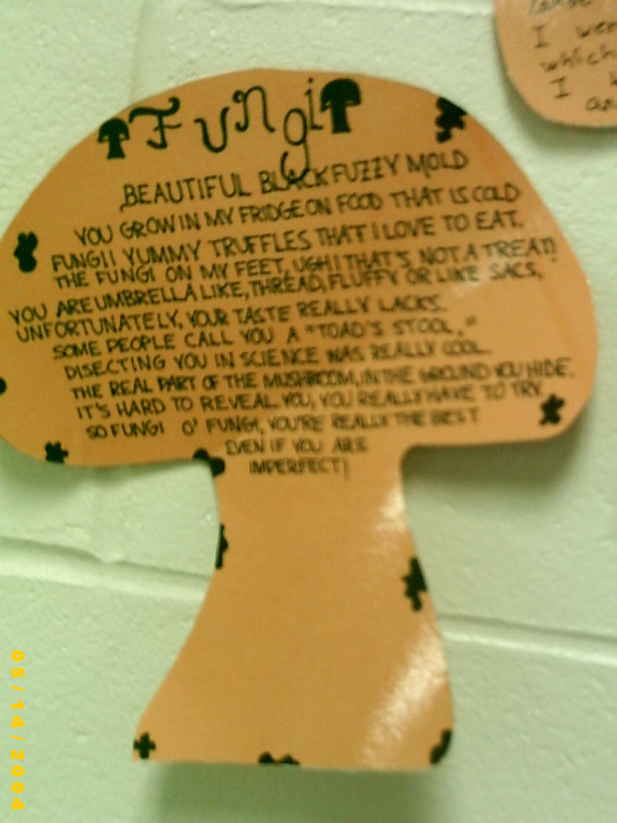 Science Matters Fungi Odes to Fungi