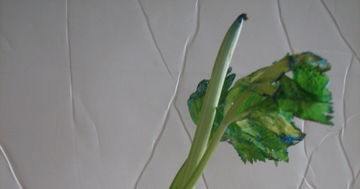Science Matters: Plants: Celery in Colored Water