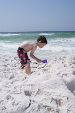 Cole in the sand